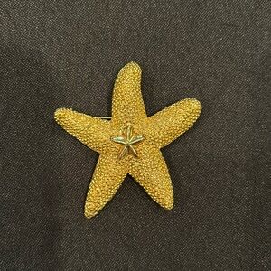 Gold Star ⭐️ Brooch. Beautiful 🤩